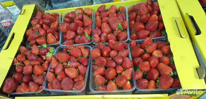 Клубника вкусная сладкая бесплатная доставка