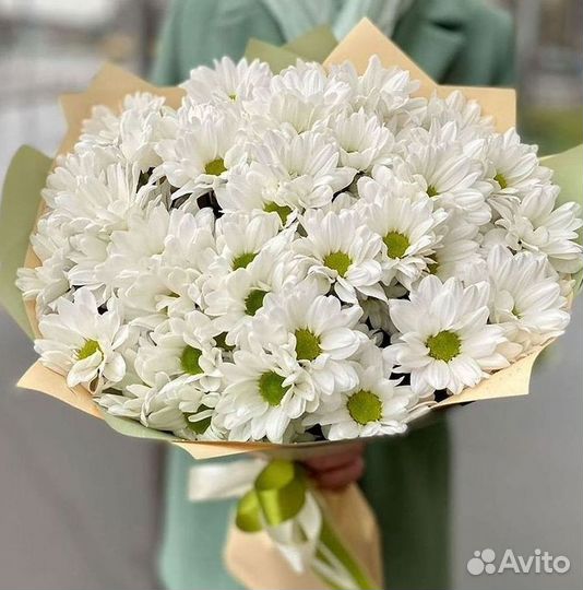 Хризантема. Букеты Цветы доставка
