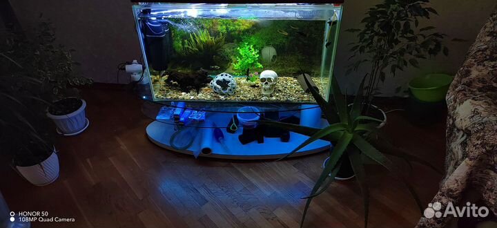 Продам аквариум с тумбой