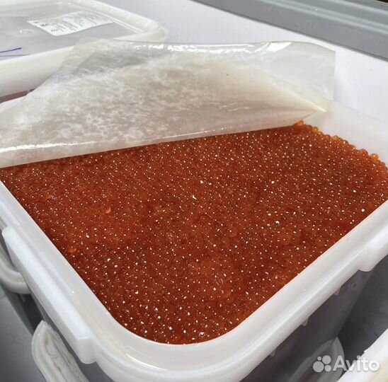 Икра кеты 2023