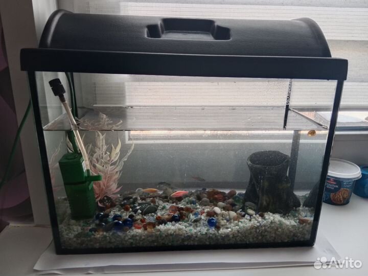 Аквариум с рыбками
