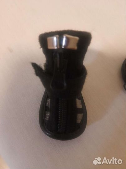 Ботинки для собаки