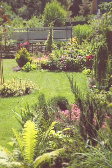 Участок 15 сот. (СНТ, ДНП)