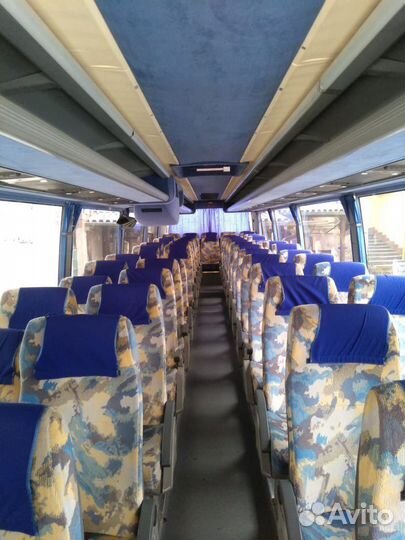 Аренда автобуса с водителем