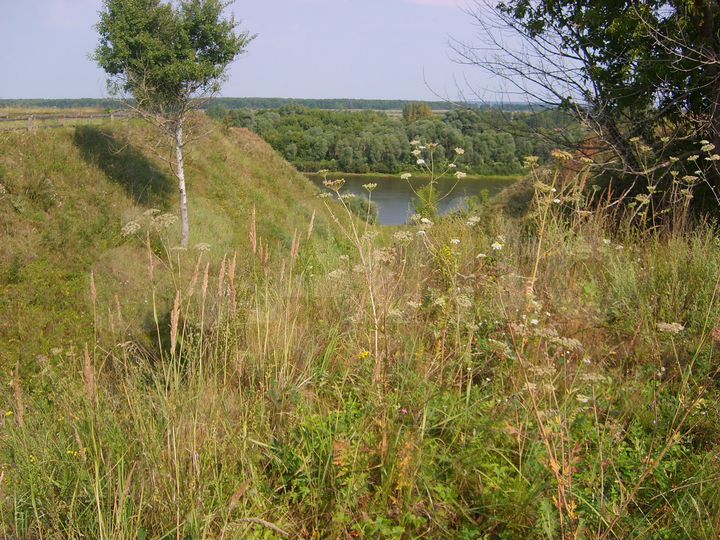 Участок 11 сот. (СНТ, ДНП)