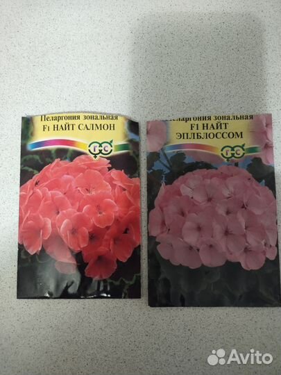 Пеларгония герань