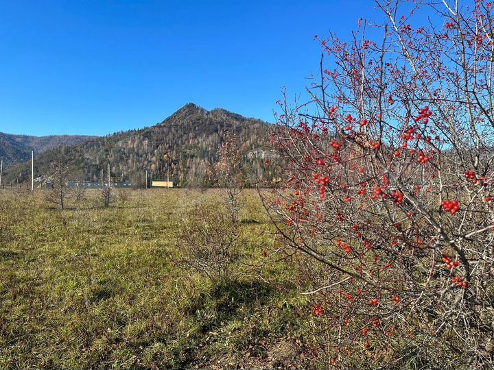 Участок 10,5 сот. (СНТ, ДНП)