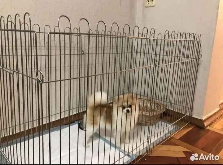 Вольер для собак
