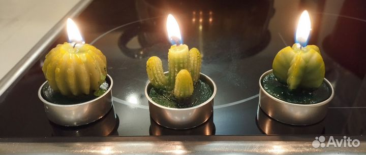 Свечи кактусы