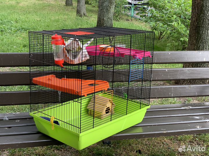 Клетка для крыс дегу хомяков крысят