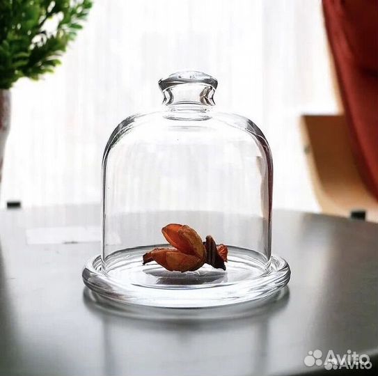 Клош лимонница новые