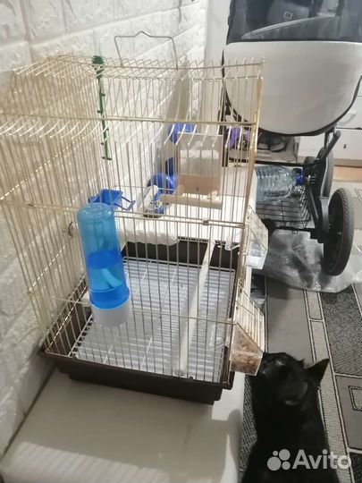 Клетка для попугая