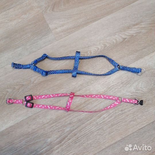 Шлейка для кошечки или маленькой собачки