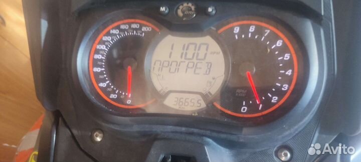 Снегоход brp summit x 800 e-tec