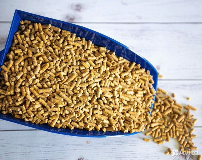 Кукуруза в гранулах откорм