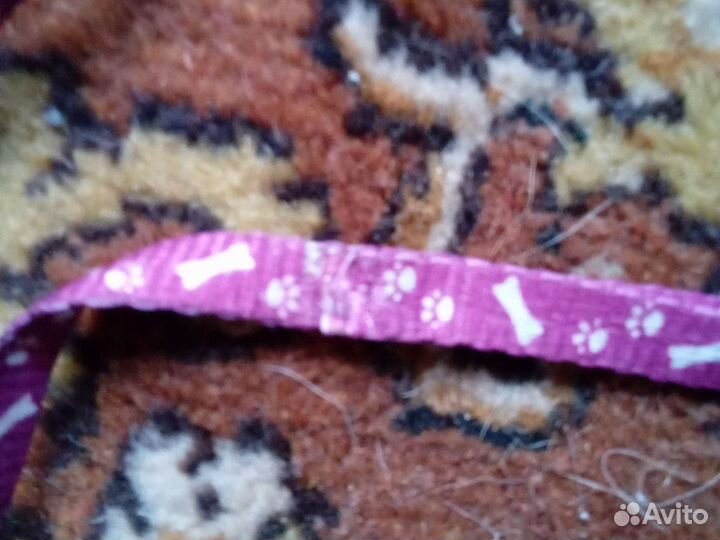 Поводок для собак и кошек