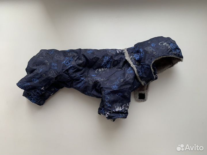 Одежда для маленьких собак