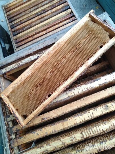 Ульи, магазины, вощина, рамки