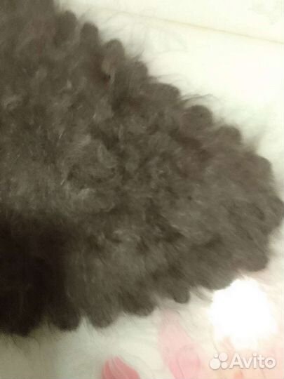 Платок пуховый новые Урюпинская коза