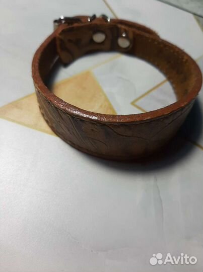 Ошейник для маленьких собак