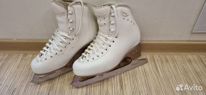 Коньки edea chorus 225.лезвия MK professional