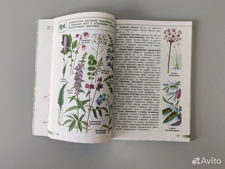 Атлас определитель от земли до неба