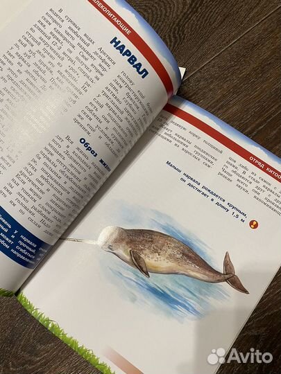 Энциклопедии