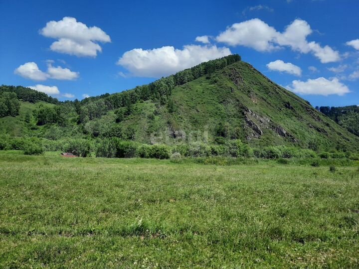 Участок 4,8 га (СНТ, ДНП)