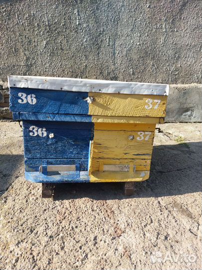 Улей для пчел бу