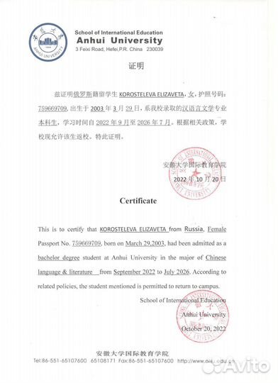 Репетитор по китайскому языку