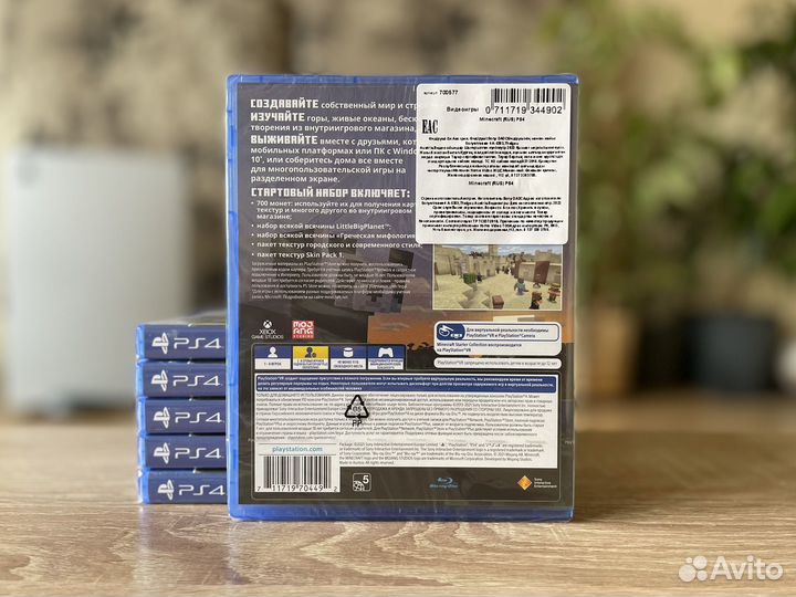 Minecraft (PS4/PS5)