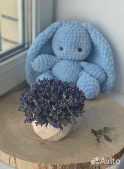 Сухоцветы, букет из сухоцветов