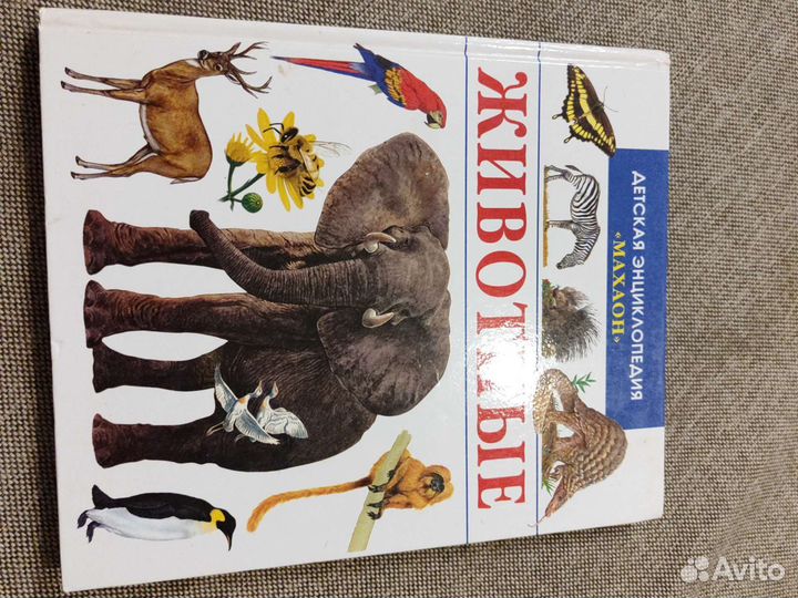 Энциклопедия