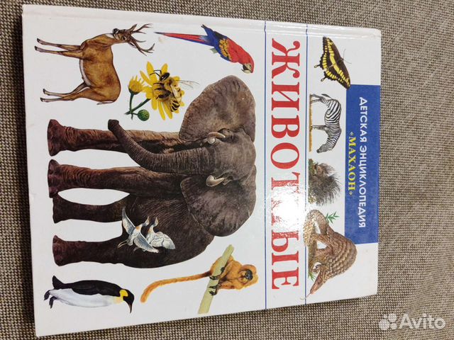 Энциклопедия