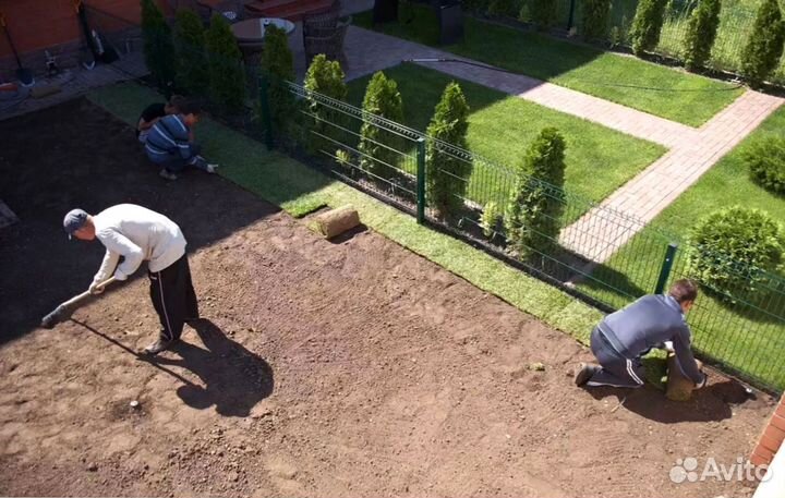 Рулонный газон. Укладка + Автополив