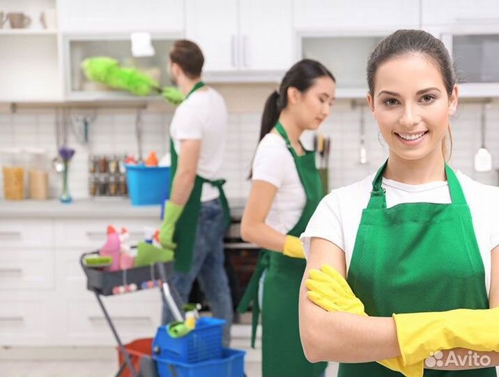 Мастер чистоты