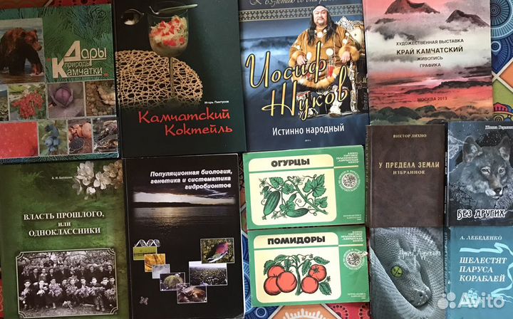 Книги о Камчатке - список внутри