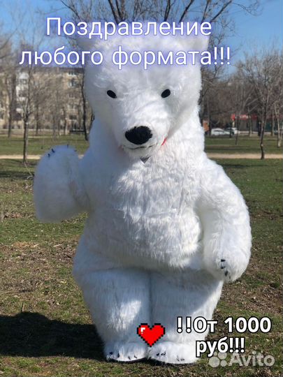 Белый мишка на поздравление