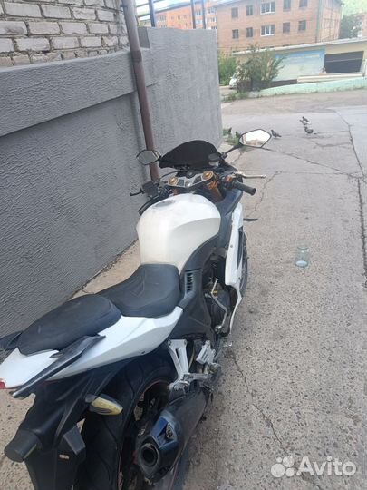 Chituma falcon speedfire 250