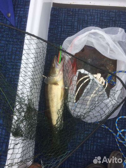 Аренда лодки с капитаном/2500 за час