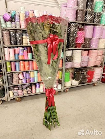 Розы Эквадор Метровые 100 см доставка Москва