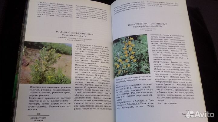 Лекарственные растения СССР, фотоальбом, 1987