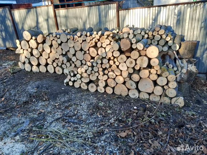 Дрова берёзовые и клёновые