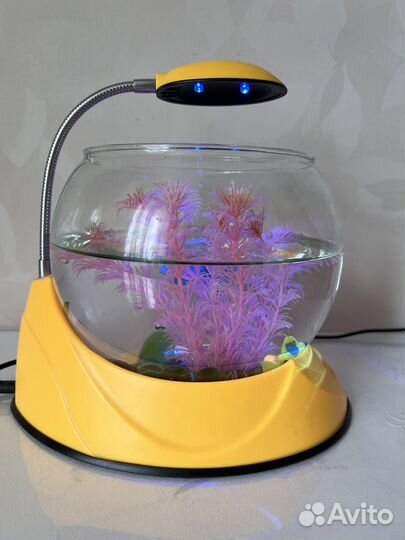 Аквариум