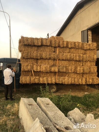 Сено солома