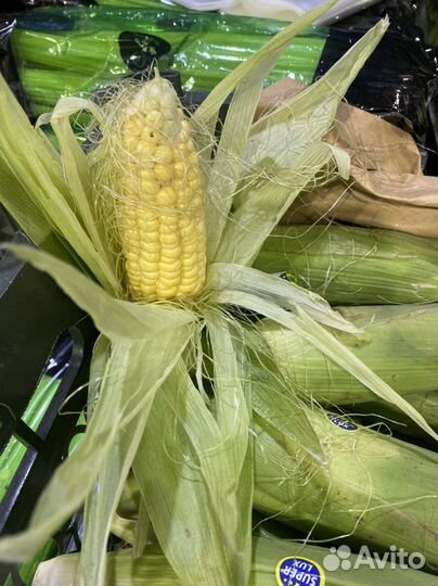 Кукуруза новый урожай свежий
