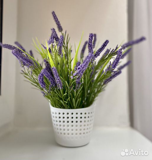 Зелень в горшке