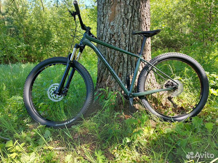 Cannondale cujo 2 2019