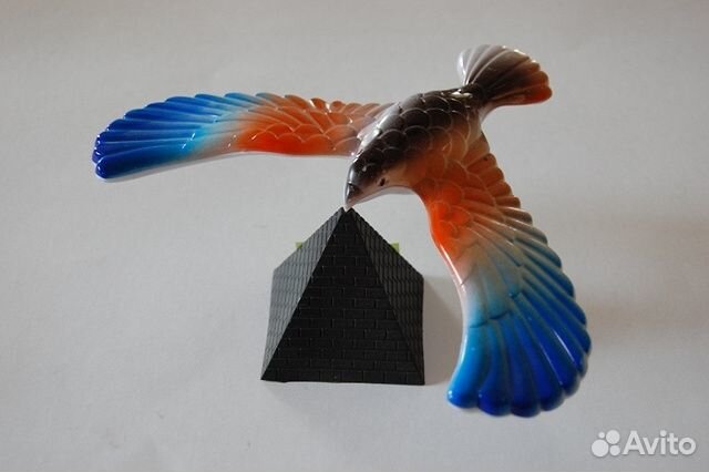 Птица которая не падает. Каролинский поползень. Птица которая держится на клюве. Пикирующий сокол. Какие птицы умеют летать.