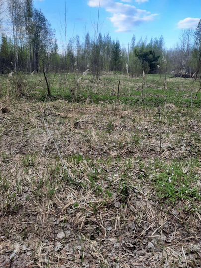 Участок 10 га (СНТ, ДНП)